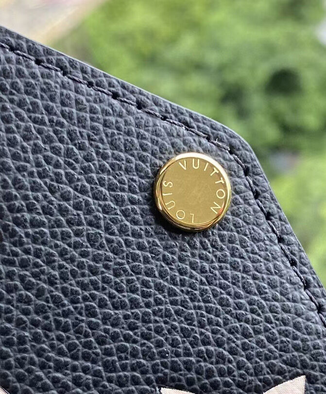 Louis Vuitton Felicie Pochette M69977 M80482